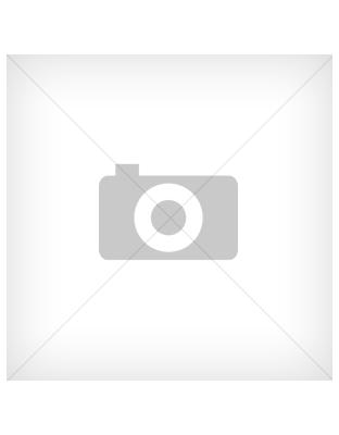 Зимний комбинезон Reima KIDDO COMET 510156